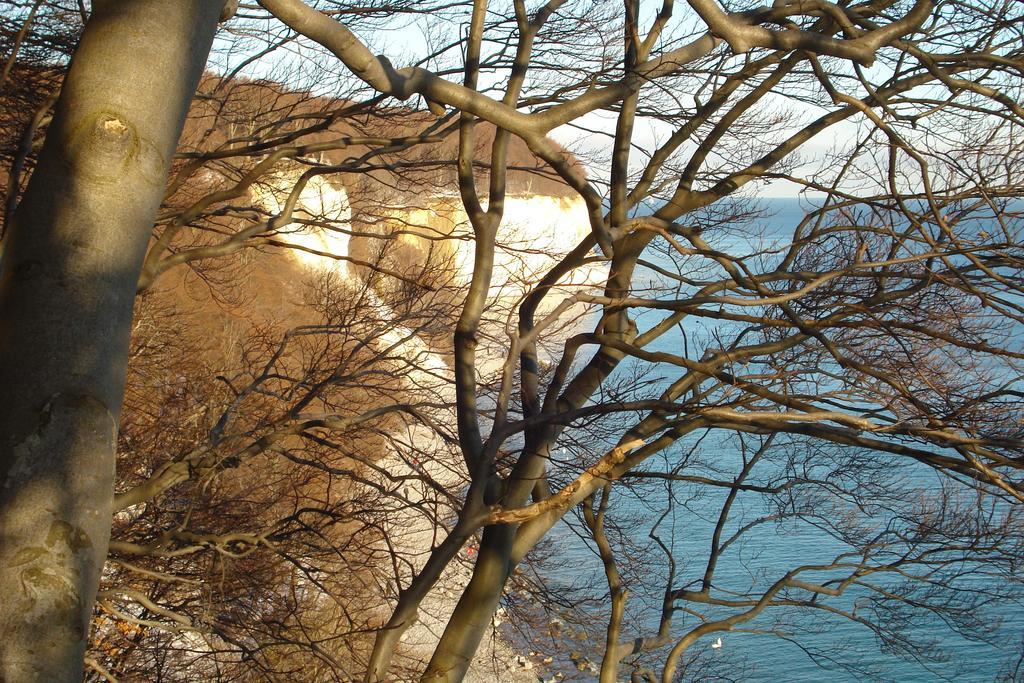 Ferienwohnung In Sassnitz Ruegen Naehe Weltnaturerbe Kreidekueste Esterno foto