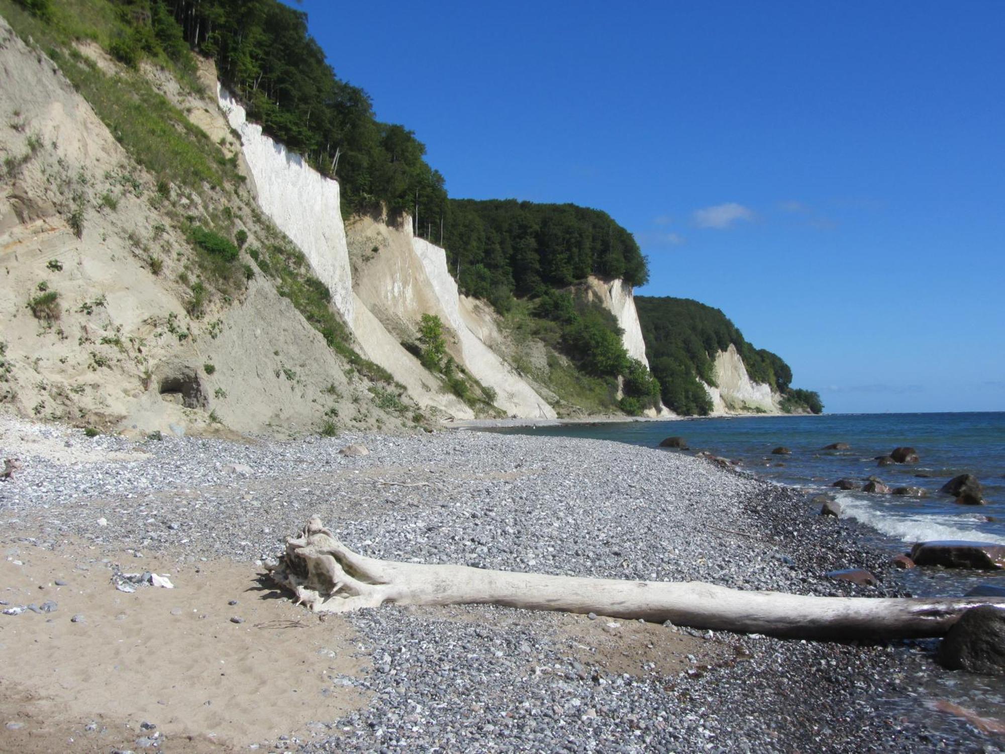 Ferienwohnung In Sassnitz Ruegen Naehe Weltnaturerbe Kreidekueste Esterno foto