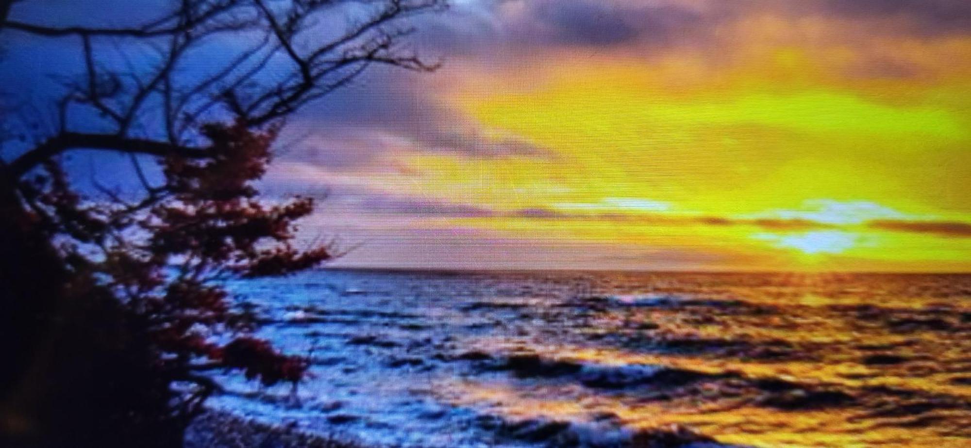 Ferienwohnung In Sassnitz Ruegen Naehe Weltnaturerbe Kreidekueste Esterno foto