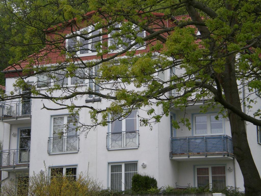 Ferienwohnung In Sassnitz Ruegen Naehe Weltnaturerbe Kreidekueste Esterno foto