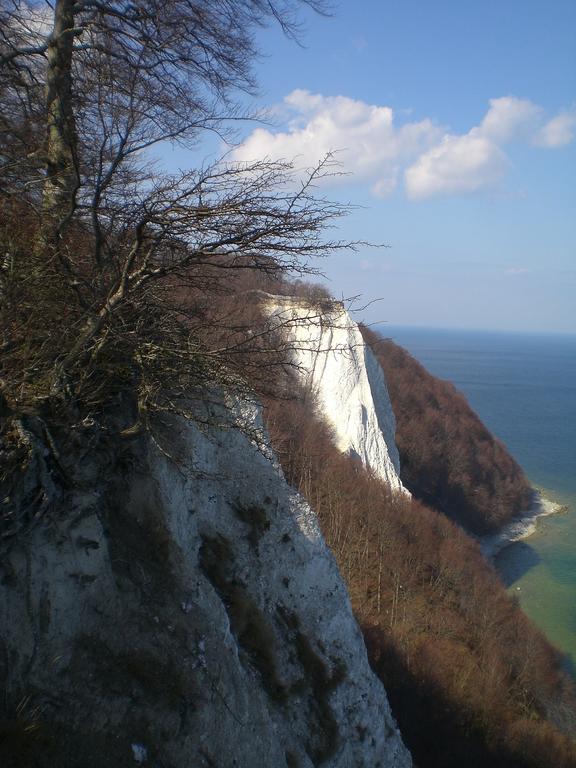 Ferienwohnung In Sassnitz Ruegen Naehe Weltnaturerbe Kreidekueste Esterno foto
