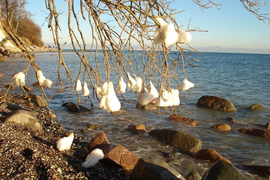 Ferienwohnung In Sassnitz Ruegen Naehe Weltnaturerbe Kreidekueste Esterno foto