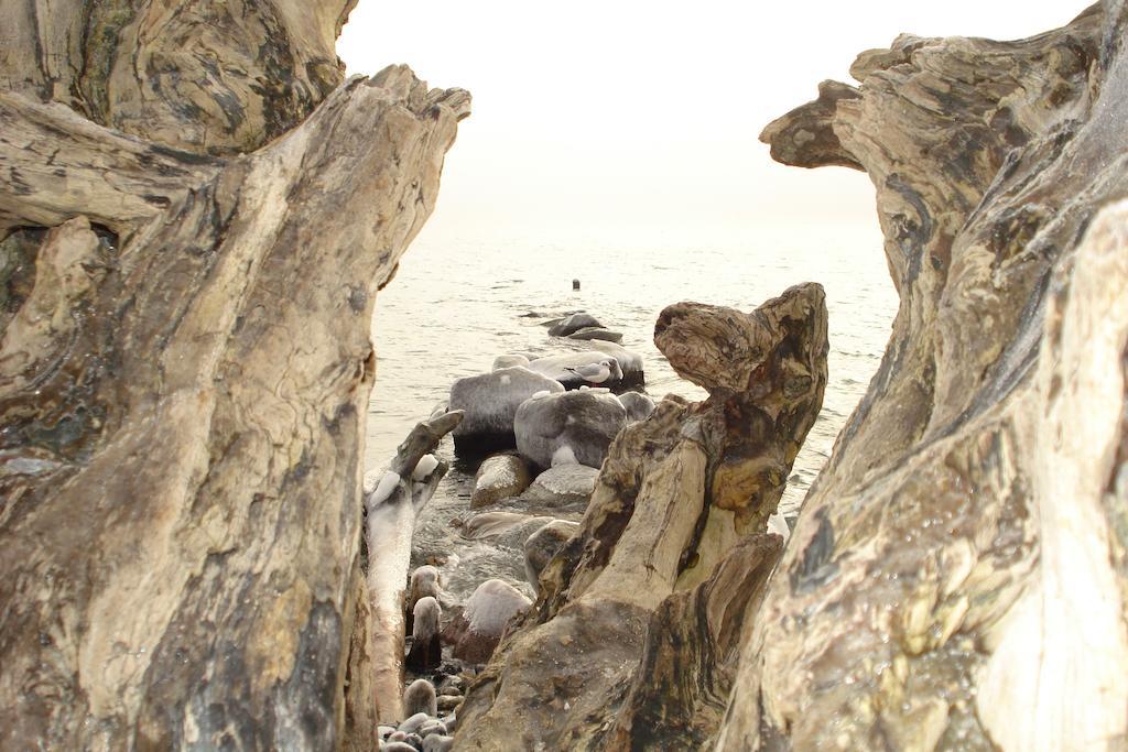 Ferienwohnung In Sassnitz Ruegen Naehe Weltnaturerbe Kreidekueste Esterno foto