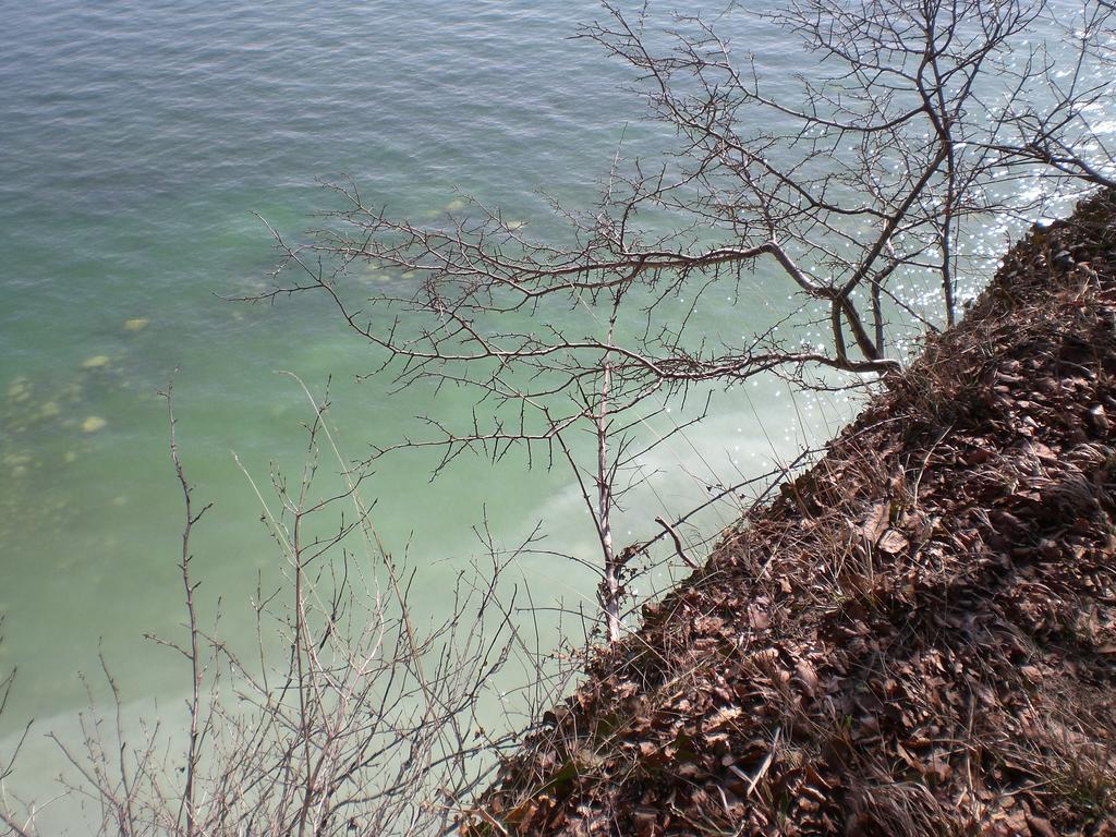 Ferienwohnung In Sassnitz Ruegen Naehe Weltnaturerbe Kreidekueste Esterno foto