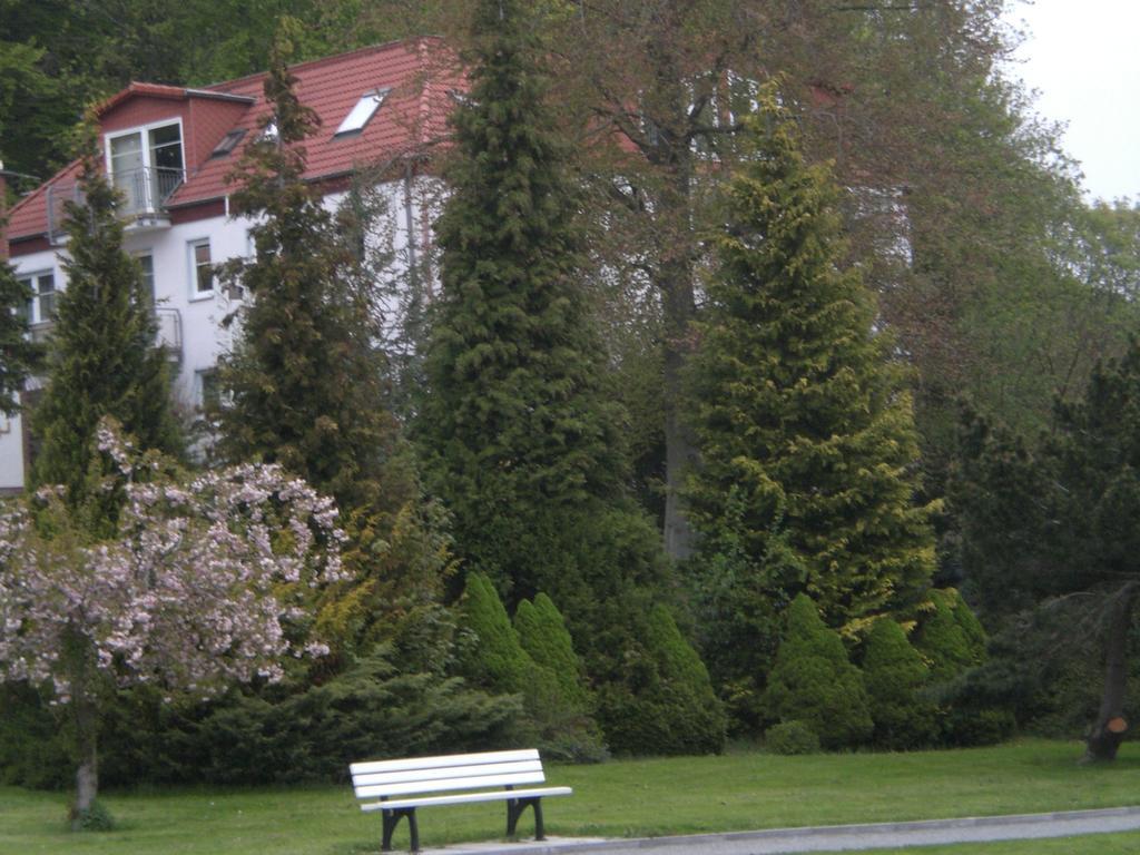 Ferienwohnung In Sassnitz Ruegen Naehe Weltnaturerbe Kreidekueste Esterno foto